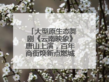 大型原生态舞剧《云南映象》唐山上演，百年商街焕新点燃城市艺术激情