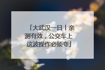 大武汉一日丨亲测有效，公交车上这波操作必须夸