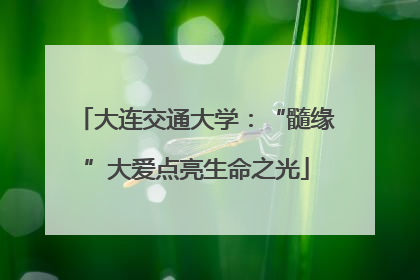 大连交通大学：“髓缘”大爱点亮生命之光