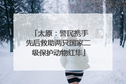 太原：警民携手 先后救助两只国家二级保护动物红隼
