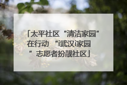 太平社区“清洁家园”在行动 “i武汉i家园”志愿者扮靓社区