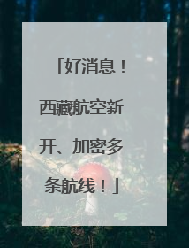 好消息！西藏航空新开、加密多条航线！