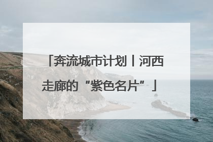 奔流城市计划丨河西走廊的“紫色名片”