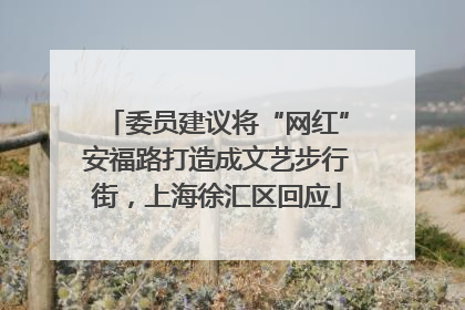 委员建议将“网红”安福路打造成文艺步行街，上海徐汇区回应