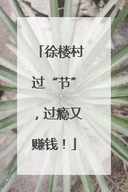 徐楼村过“节”，过瘾又赚钱！
