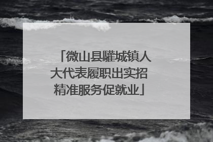 微山县驩城镇人大代表履职出实招精准服务促就业