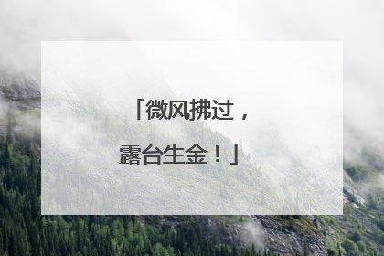 微风拂过，露台生金！