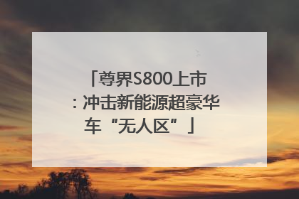尊界S800上市：冲击新能源超豪华车“无人区”