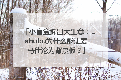 小盲盒拆出大生意：Labubu为什么能让爱马仕沦为背景板？