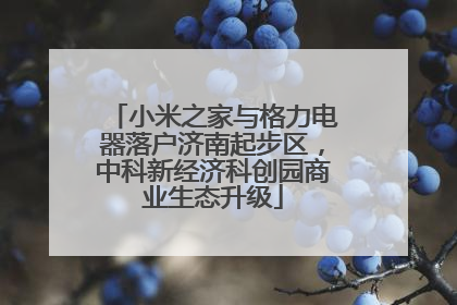 小米之家与格力电器落户济南起步区，中科新经济科创园商业生态升级