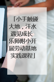 小手触碰大地，汗水遇见成长 乐师附小开展劳动基地实践课程