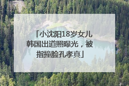 小沈阳18岁女儿韩国出道照曝光，被指撞脸孔孝真