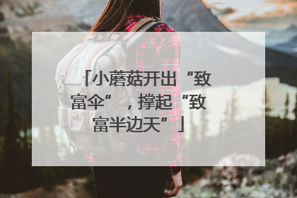 小蘑菇开出“致富伞”，撑起“致富半边天”