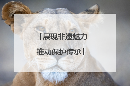 展现非遗魅力 推动保护传承