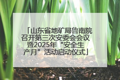 山东省地矿局鲁南院召开第三次安委会会议暨2025年“安全生产月”活动启动仪式