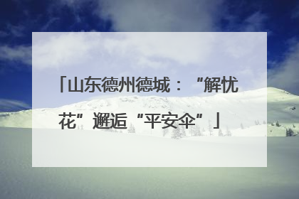 山东德州德城：“解忧花”邂逅“平安伞”