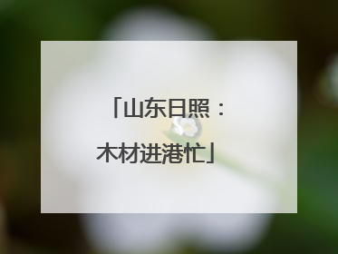 山东日照：木材进港忙