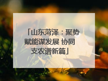 山东菏泽：聚势赋能谋发展 协同支农谱新篇