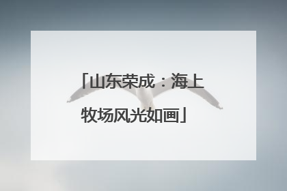 山东荣成：海上牧场风光如画