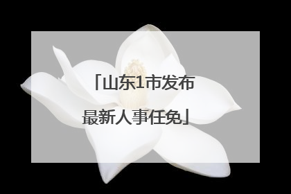 山东1市发布最新人事任免