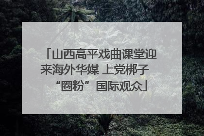 山西高平戏曲课堂迎来海外华媒 上党梆子“圈粉”国际观众