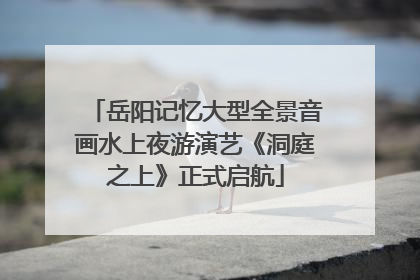 岳阳记忆大型全景音画水上夜游演艺《洞庭之上》正式启航