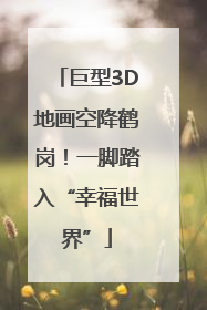 巨型3D地画空降鹤岗！一脚踏入“幸福世界”