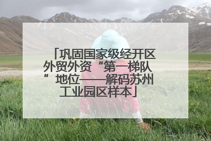 巩固国家级经开区外贸外资“第一梯队”地位——解码苏州工业园区样本