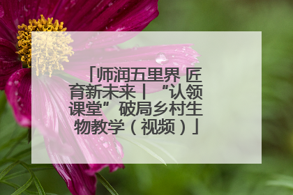 师润五里界 匠育新未来丨“认领课堂”破局乡村生物教学（视频）