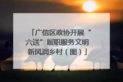 广信区政协开展“六送”履职服务文明新风润乡村（图）