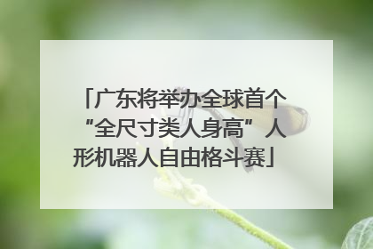 广东将举办全球首个“全尺寸类人身高”人形机器人自由格斗赛