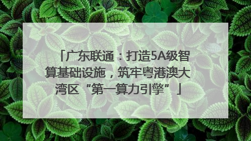 广东联通：打造5A级智算基础设施，筑牢粤港澳大湾区“第一算力引擎”