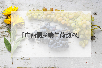 广西侗乡端午荷韵浓