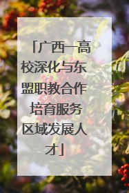 广西一高校深化与东盟职教合作 培育服务区域发展人才