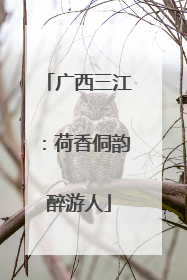 广西三江：荷香侗韵醉游人
