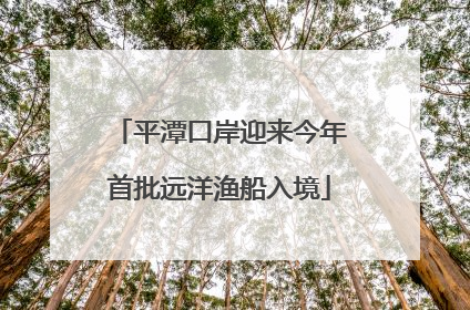 平潭口岸迎来今年首批远洋渔船入境