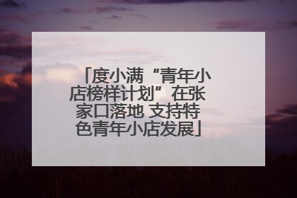 度小满“青年小店榜样计划”在张家口落地 支持特色青年小店发展