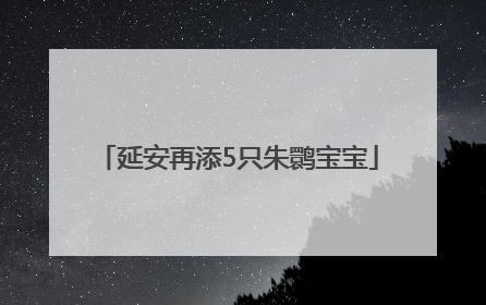延安再添5只朱鹮宝宝