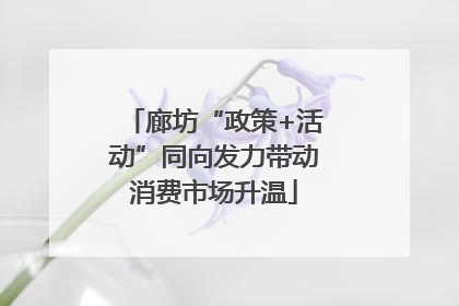 廊坊“政策+活动”同向发力带动消费市场升温