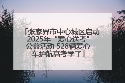 张家界市中心城区启动2025年“爱心送考”公益活动 528辆爱心车护航高考学子