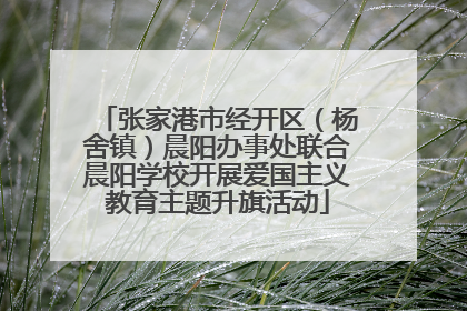 张家港市经开区（杨舍镇）晨阳办事处联合晨阳学校开展爱国主义教育主题升旗活动