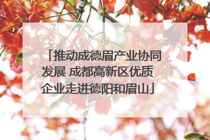推动成德眉产业协同发展 成都高新区优质企业走进德阳和眉山