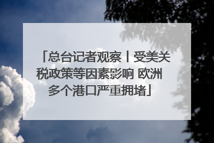 总台记者观察丨受美关税政策等因素影响 欧洲多个港口严重拥堵