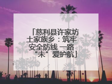 慈利县许家坊土家族乡：筑牢安全防线 一路“未”爱护航