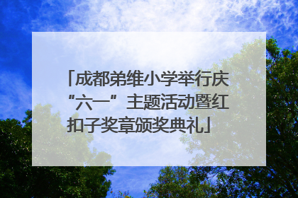 成都弟维小学举行庆“六一”主题活动暨红扣子奖章颁奖典礼