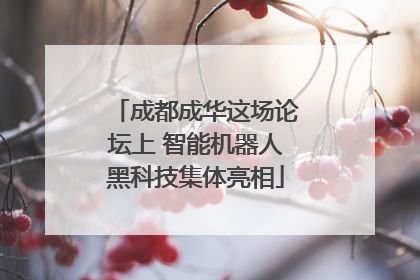 成都成华这场论坛上 智能机器人黑科技集体亮相