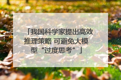 我国科学家提出高效推理策略 可避免大模型“过度思考”