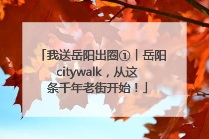 我送岳阳出圈①丨岳阳citywalk，从这条千年老街开始！