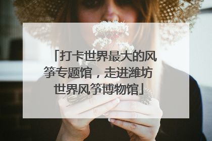 打卡世界最大的风筝专题馆，走进潍坊世界风筝博物馆