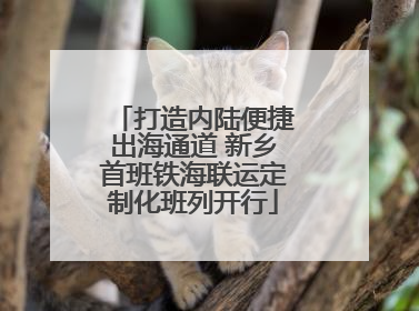 打造内陆便捷出海通道 新乡首班铁海联运定制化班列开行